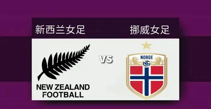 澳大利亚女足-不敌挪威无缘四强的简单介绍